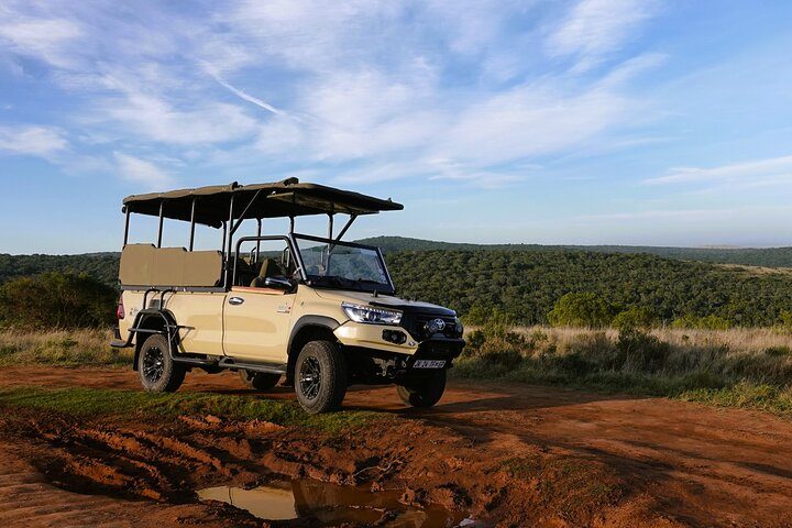 Kruger National Park Full Day Safari Tour from Hazyview (KBFD01) - Photo 1 of 10